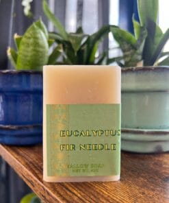 Eucalyptus Fir Needle Tallow Soap