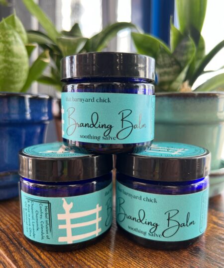 Herbal Salves